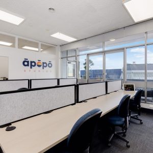 Hot Desk - Casual Day Pass